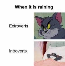 Pin On Funny Pics