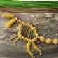 Pasta Paleontology
