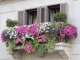 Regardless of your home's size, style, or neighborhood vibe, there are few houses that would not be complemented by a window box. Really Beautiful Balcony Planter Ideas That Will Motivate You To Workout Photo Examples Decoratorist