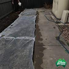 Here are a few ways using which you can protect the grass seeds from being eaten away by the keep the netting at least three inches above the lawn as it will refrain the birds from making any holes. Protect Your Grass Seeds With This Quick Easy Hack
