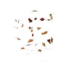Leaf Png Images Psds For Download Pixelsquid Falling leaf overlay 1 free to use, green leaves png. leaf png images psds for download