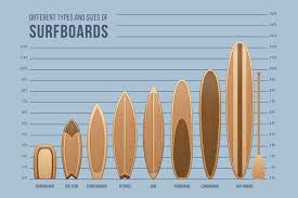 Amazon Com Surfboards Size And Type Chart Cool Wall Decor
