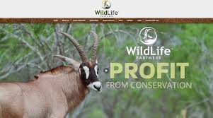 The most common exotic pets material is paper. Is Something Squirrely Going On At San Antonio Company That Breeds Exotic Wildlife
