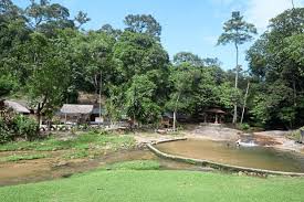 Encuentra y reserva alojamientos únicos en airbnb. Thousands Sign Petition To Protect Bukit Lagong Forest Market News Propertyguru Com My