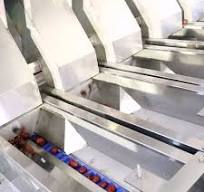 380V 8.5KW Dates Sorting Machine 16 Lanes AI Optical Grading ...