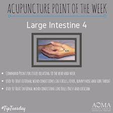Below you will find clinical usage information for all points along the (li) large intestine meridian. 7 Lung And Large Intestine Meridian Exercises Help Ideas Chinese Medicine Traditional Chinese Medicine Acupuncture