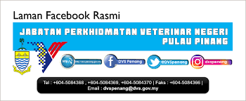 Untuk sebarang urusan temujanji boleh menghubungi. Dvs Penang Home Facebook