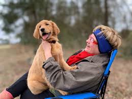 $1,500 (msc > nora springs ) pic hide this posting restore restore this posting. Arkansas Golden Retriever Puppies For Sale