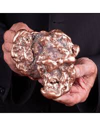 Image result for Copper Chestnut 2012 Cygnet