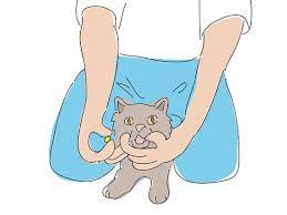 Fifi bofinkles approves after eating her big. 6 Ways To Give A Cat A Pill Cat Medicine Cats Crazy Cats
