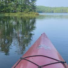 Profile for Reid Thorpe Artist