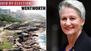 Wentworth by election 2018 candidates: Dr Kerryn Phelps policies