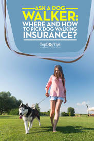 Pet sitters are a wonderful alternative to kennels in some instances, and pet sitters are in high demand. Dog Walking Insurance Why You Need It And How To Find The Best Plans