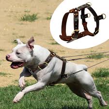 How big is a dog crate in sri lanka? Soft Genuine Leather Dog Harness For Pitbull German Shepherd Rottweiler Brown Ebay