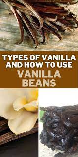 Types Of Vanilla And How To Use Vanilla Beans Our Deer Vanilla Bean Vanilla Beans