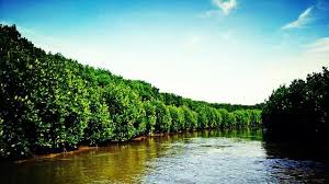 Mengenal jenis flora dan fauna endemik pulau sumatera. Tentang Persebaran Flora Dan Fauna Di Indonesia Steemkr