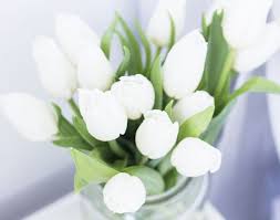 Shop for the best spring flowering perennials. The Best Not So Guilty Pleasures In Life From Roses Lots Of Money Planting Flowers Flowers