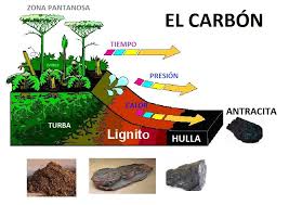 Resultado de imagen para significado de hulla