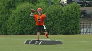 bengals day at camp 8 5 offense struggles finley with the