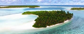 Image result for Cocos