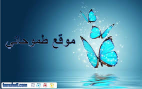 كريم محمود عبد العزيز وسليمان عيد يغنيان صفر المية الحالة ضنك هالة صدقي في أول تعليق بعد إثبات نسب طفليها: ÙƒÙ„Ù…Ø§Øª ØµÙØ± Ø§Ù„Ù…ÙŠÙ‡ Ø§Ù„Ø­Ø§Ù„Ù‡ Ø¶Ù†Ùƒ Ø·Ù…ÙˆØ­Ø§ØªÙŠ