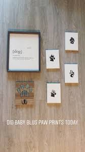 Pin By Caroline Cutler On Apartment Paw Print Prints Decor
