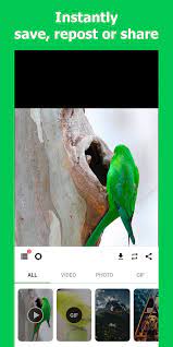Anda pun bisa mengekspresikan diri, memberdayakan kreativitas dan mendekatkan pengguna lainnya! Tweet Downloader On Twitter Hello Everyone I Just Made An App Called Whatsapp Status Saver Which Helps You Download Whatsapp Status Video Gif And Image Let Try It Https T Co Sgyhbht9yd Downloadwhatsappstatus Whatsappstatussaver Whatappstatus