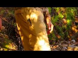 These pants are all but invincible with outstanding comfort and performance in almost any activity, recreational, operational, or otherwise. Ripstop Cargo Pants Taclite Pro Pants 5 11 Tactical