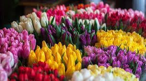 Check spelling or type a new query. Whole Foods Is Selling 10 20 Stem Bouquets For Mother S Day Purewow