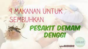 Ceritasihatdot com 3.310 views1 year ago. Ubat Mujarab Demam Denggi Berubat I