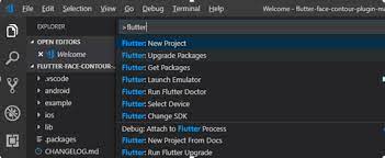 On android the webview widget is backed by a webview. Webview In Flutter Example
