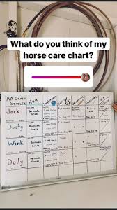 horse feeding chore chart horse tack rooms horse barns