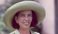 Claudio Galvan, o Ari de 'Pantanal', é dublador do Pato Donald e de  personagens que você nem imagina