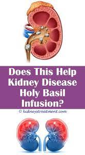 Pin On Kidney Disease Treatment