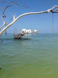 A retired businessman, bob lee, in 1980 built the dome house on cape romano, south of marco island and part of the 10,000 islands of florida. The Mysterious Dome Homes Marching Into The Sea Then Now