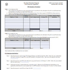 Ppp Loan Forgiveness For Chiropractors Application Explained Here