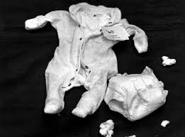 But the manner of her death still grips people with horror. Lindy Chamberlain Photos 2 Murderpedia The Encyclopedia Of Murderers