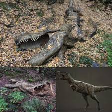 Unveiling an Extraordinary Find: Pristine Dinosaur Fossil Discovered in the  Heart of the Amazon Rainforest, South America. Details below in the  comments section ...👇👇 #Ancient #Archaeology #Mystery