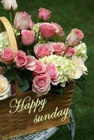 Pin On Birthday Wishes Messages
