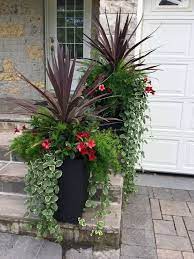 Container Gardening Flower Pots Outdoor Patio Flowers Container Gardening Flowers