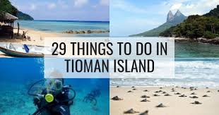 Kampong paya pulau tioman, tioman island, malaysia. 29 Best Things To Do In Tioman Island Read This Before Go To Tioman
