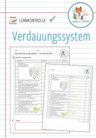 Verdauungssystem Lernkontrolle Unterrichtsmaterial Im Fach Biologie In 2020 Lernen Verdauungssystem Frage Antwort