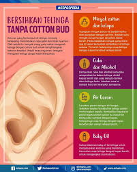 Pin Oleh Gusti Rosa Di Infografis Good To Know Pendidikan Kesehatan Kesehatan Alternatif Obat Alami