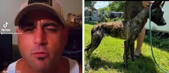 Sign: Man Admits To Starving Dogs, Takes Video Of Himself Encouraging One  Dog To Kill Another Chained Dog