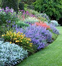 Petrol prices were low, and a long drive through the. Herbaceous Perennial Plants Beautiful Strong Easy Care Growing Worldwide