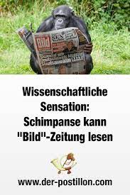 All major media like washington post, bild zeitung, süddeutsche, spiegel, cnn, reuters, have decided not to be on vk since 3 july 2017. Pin Auf Einfach Witzig Und Schon