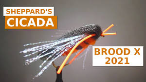 You may have seen the 4x, 5x and so on leaders materials in. Fly Tying A Cicada Brood X 2021 Youtube