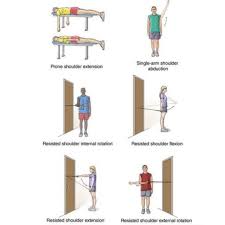 klavicula kiriklari egzersizleri clavicula fractures exercises egzersiz