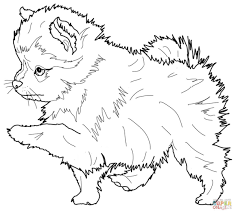 Pomeranian Puppy Super Coloring Puppy Coloring Pages Dog Coloring Page Horse Coloring Pages
