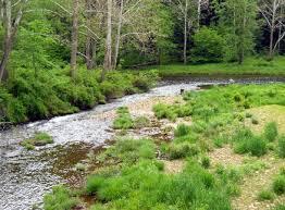 Fly Fishing Kettle Creek Pennsylvania For Trout